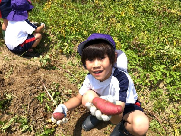 じゃがいも掘り🥔