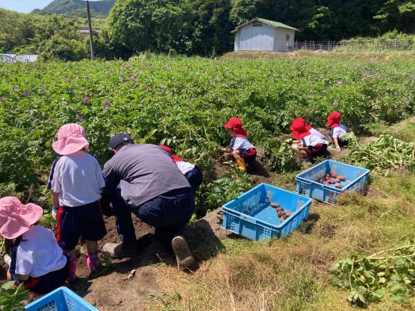 みんなで掘ったじゃがいも🥔