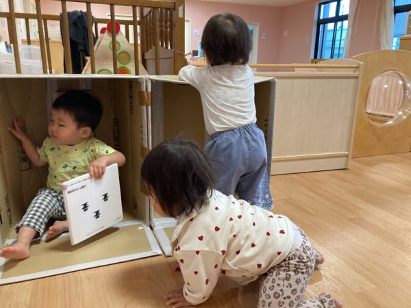 つぼみたんぽぽの隠れ家🤍